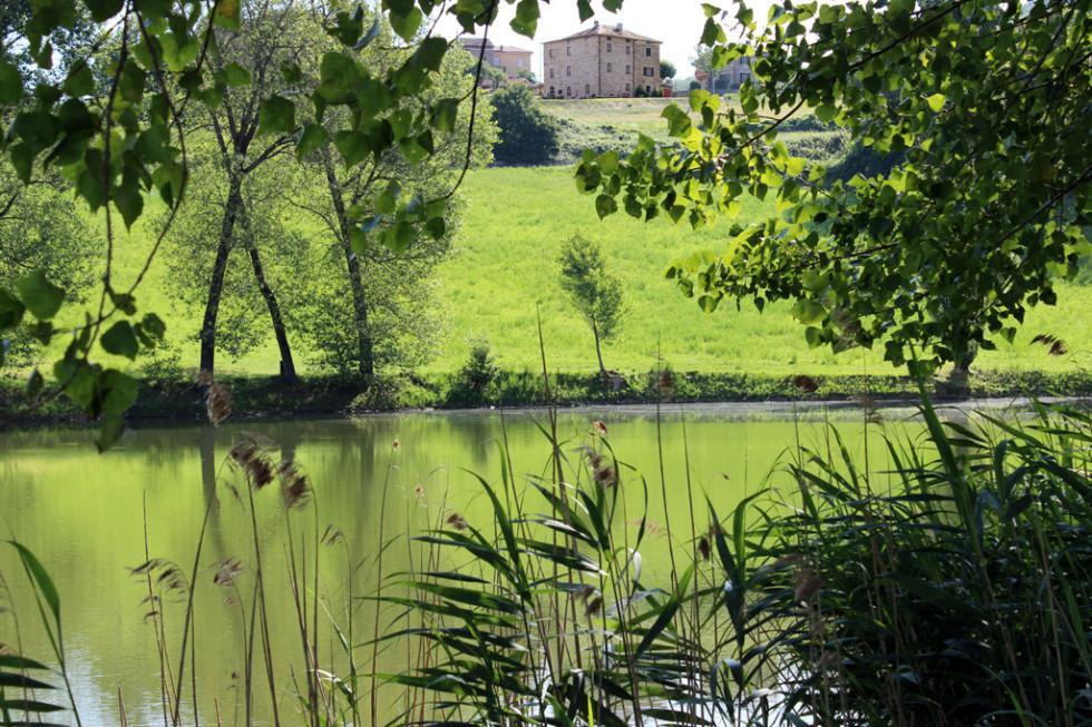 Appartamenti Cenni - Relais Su Lago Varsi Eksteriør billede